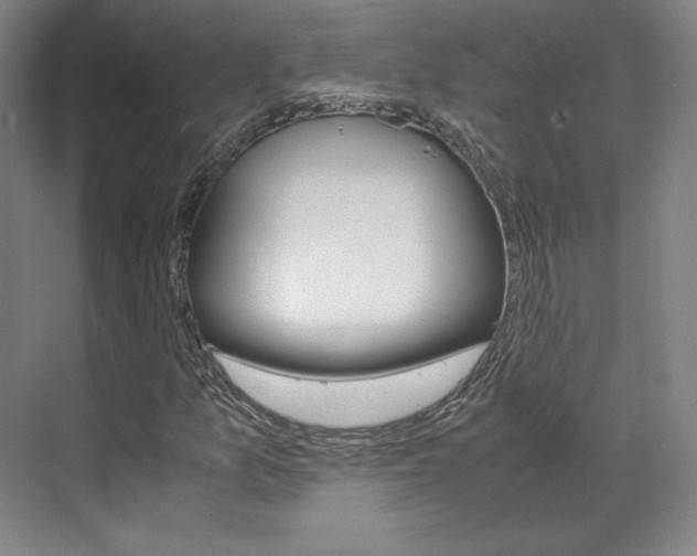 X0000072501157200607140929