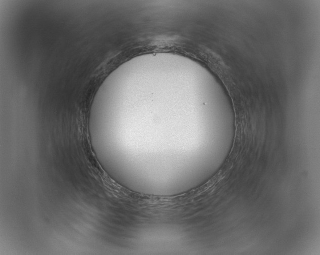 X0000072501158200607140929