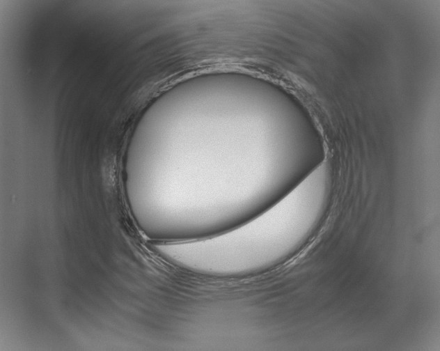 X0000072501161200607140929