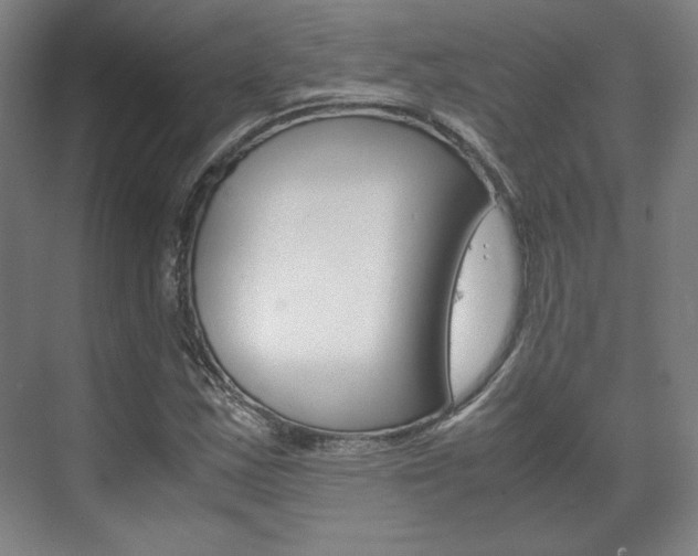 X0000072501163200607140929
