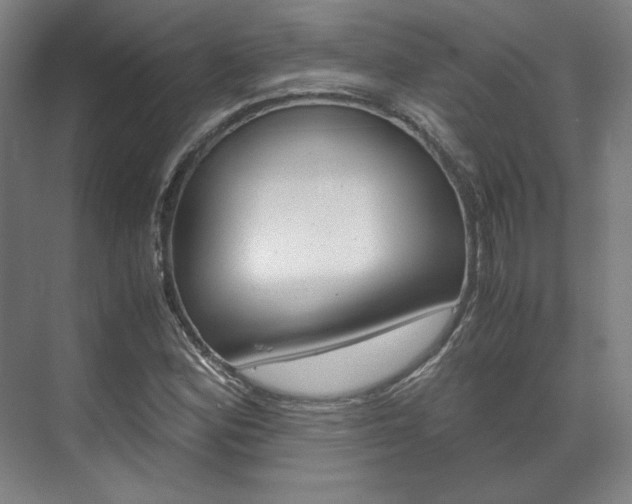 X0000072501164200607140929