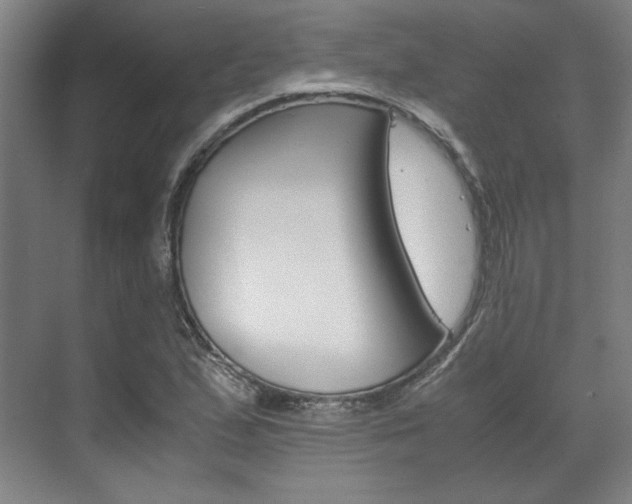 X0000072501167200607140929