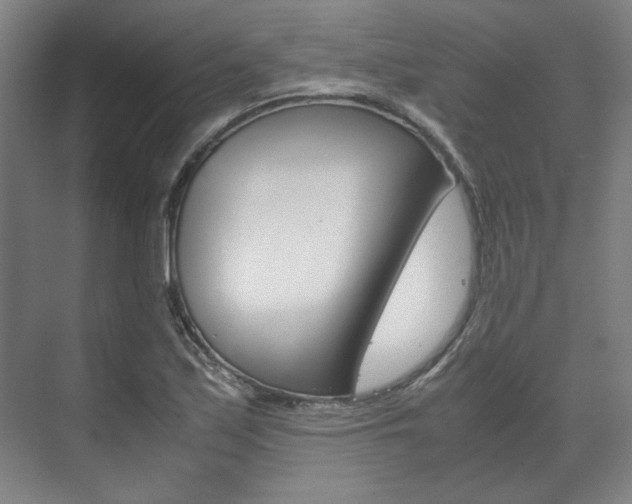 X0000072501171200607140928