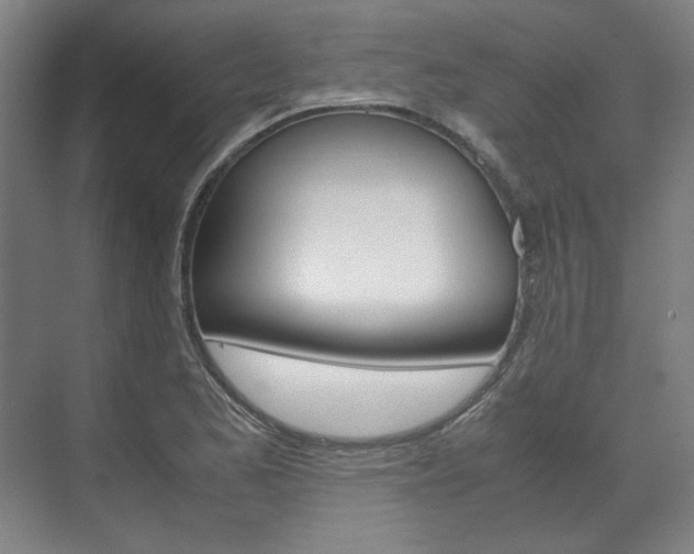 X0000072501173200607140928