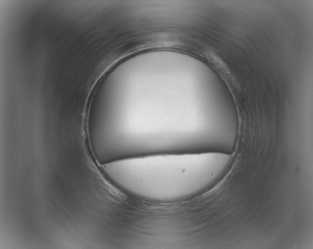 X0000072501178200607140928
