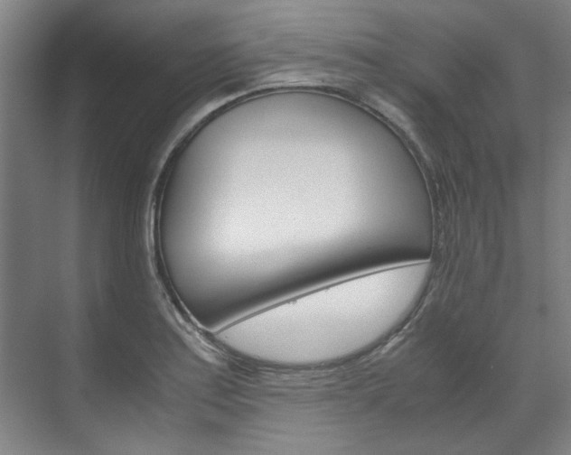 X0000072501179200607140928