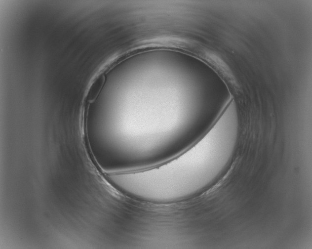 X0000072501180200607140928