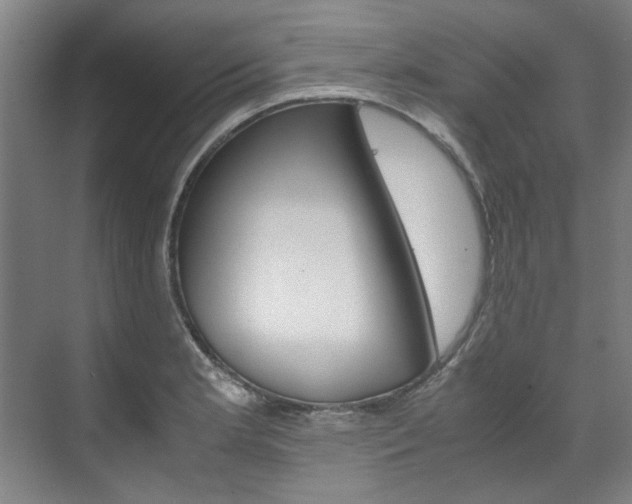 X0000072501181200607140928