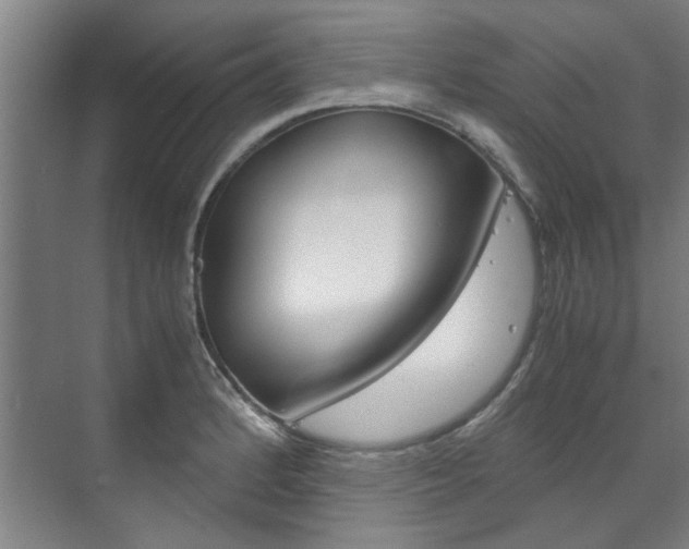 X0000072501184200607140928