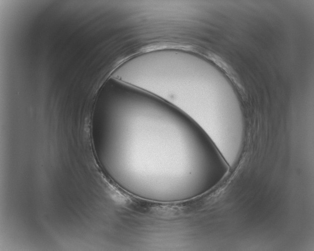 X0000072501185200607140928