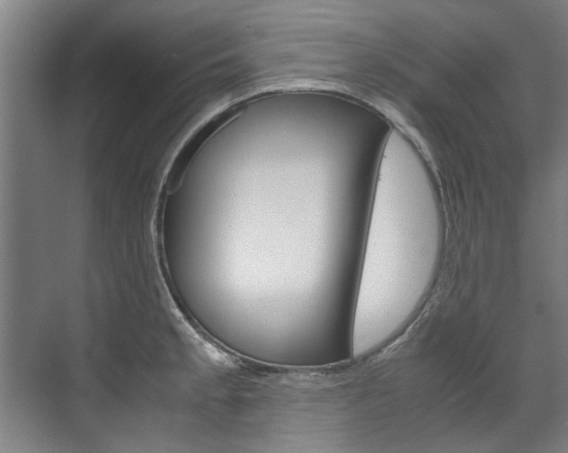 X0000072501189200607140928