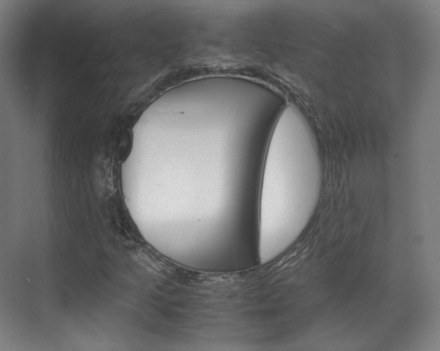 X0000072501205200607140927