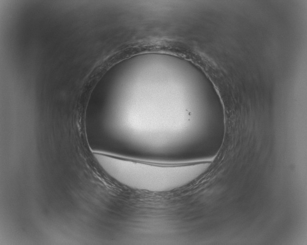 X0000072501206200607140927