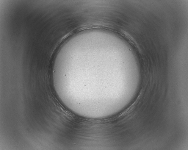 X0000072501210200607140927
