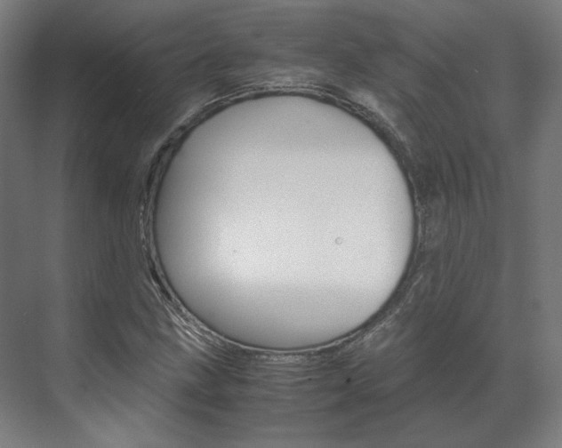 X0000072501211200607140927