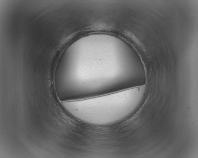 X0000072501213200607140927