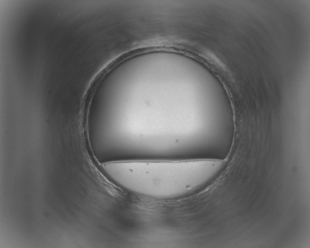 X0000072501216200607140927
