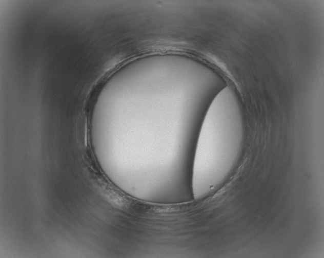 X0000072501219200607140927