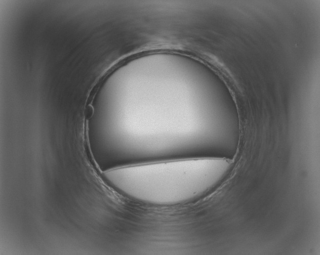 X0000072501220200607140927