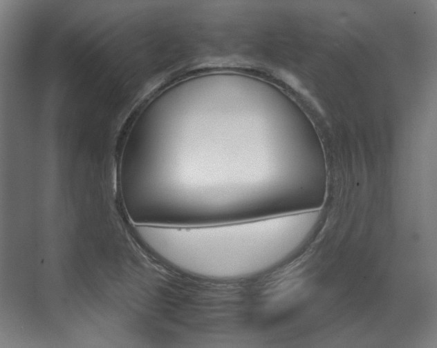 X0000072501221200607140928