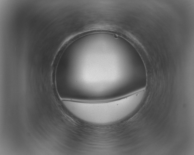 X0000072501222200607140928