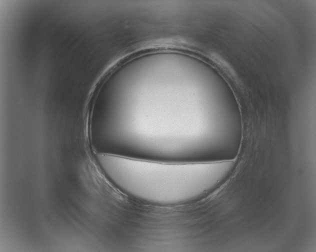 X0000072501224200607140928