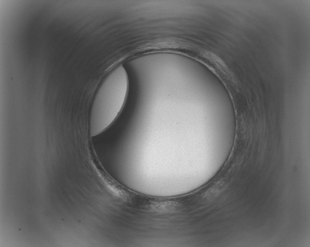 X0000072501225200607140928