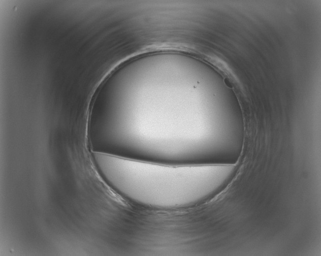 X0000072501228200607140928