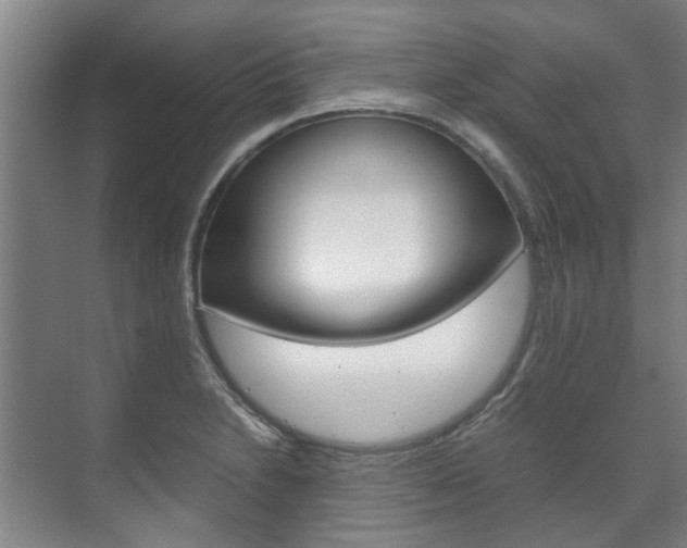 X0000072501230200607140928