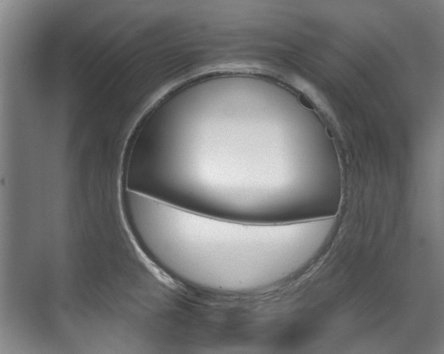 X0000072501237200607140928