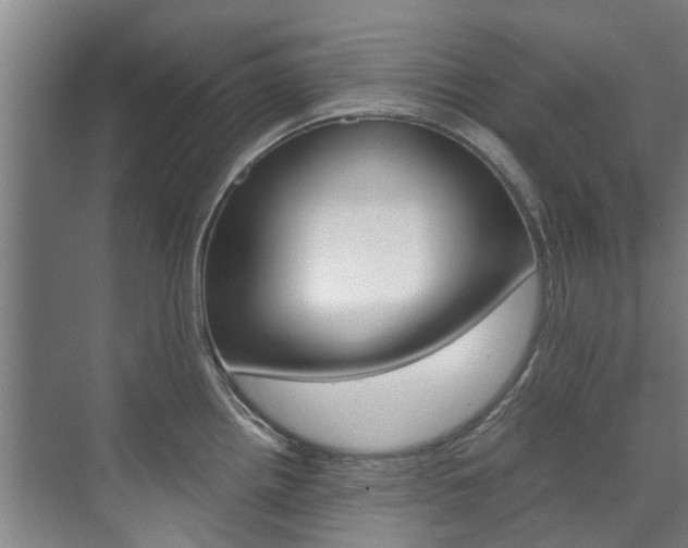 X0000072501242200607140928