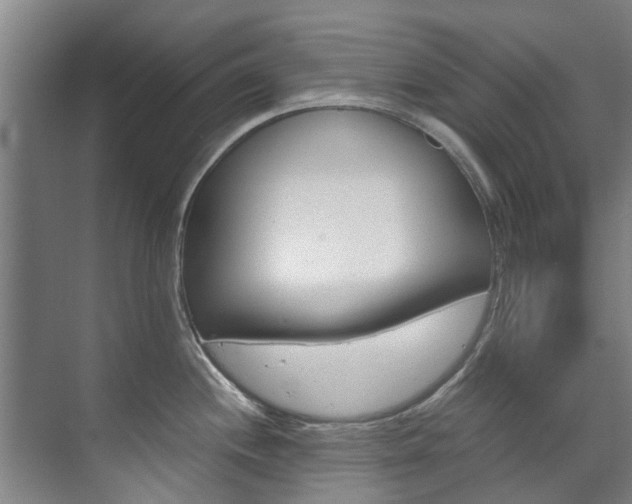 X0000072501244200607140928