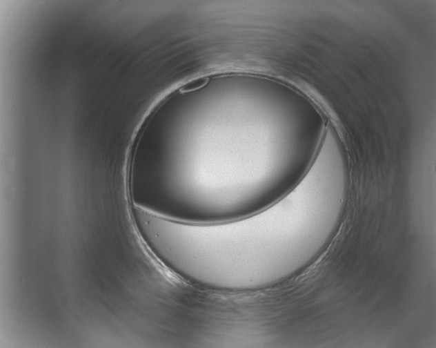 X0000072501246200607140928