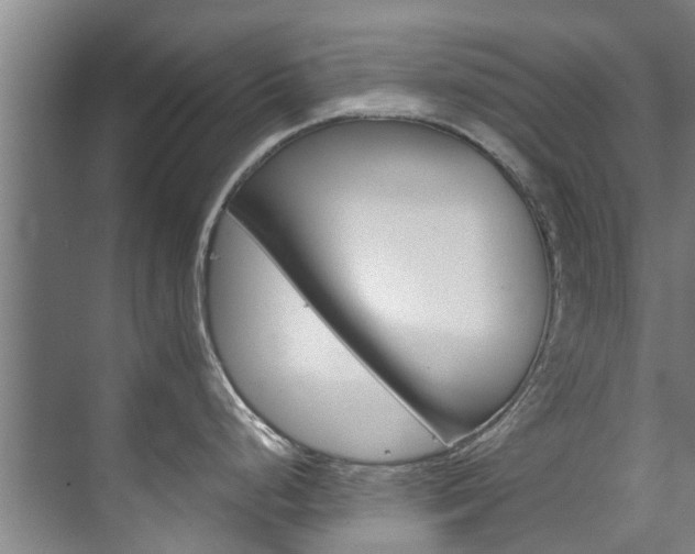 X0000072501248200607140928