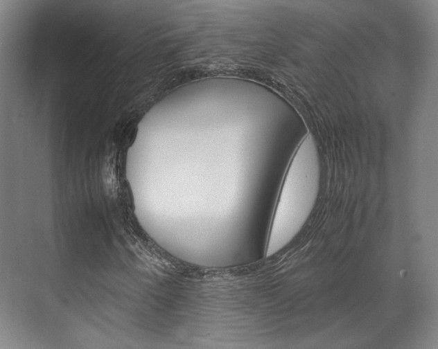X0000072501250200607140927