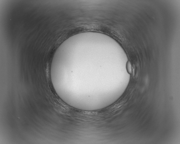 X0000072501251200607140927