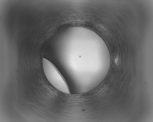 X0000072501252200607140927