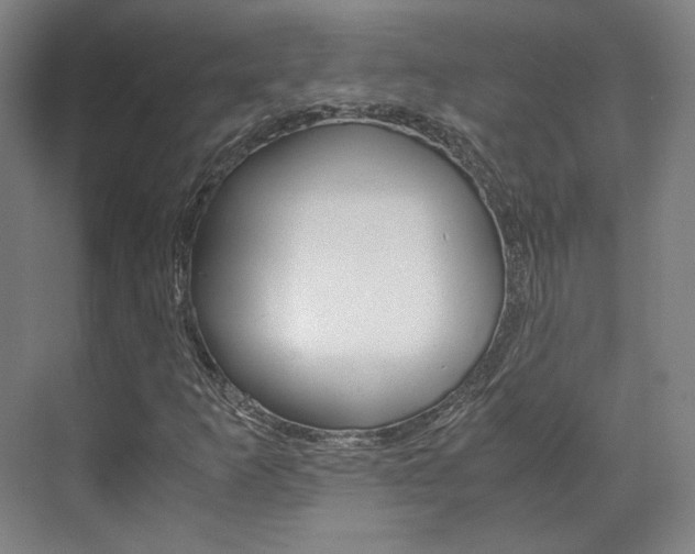X0000072501253200607140927