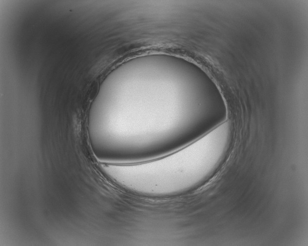 X0000072501257200607140927