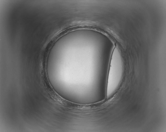 X0000072501261200607140927