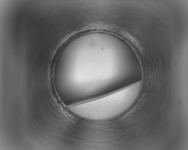 X0000072501264200607140927