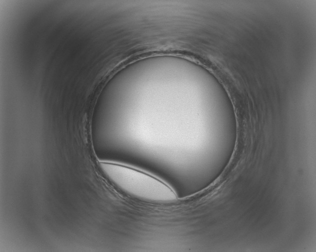 X0000072501265200607140927