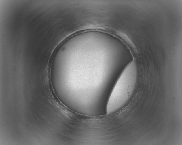 X0000072501268200607140927
