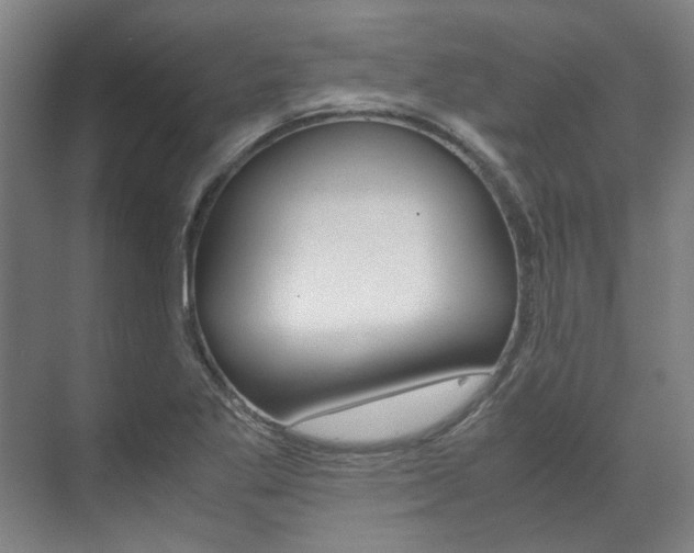 X0000072501269200607140927