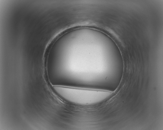 X0000072501270200607140927