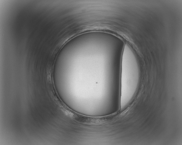 X0000072501273200607140927