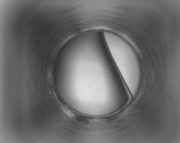 X0000072501281200607140927