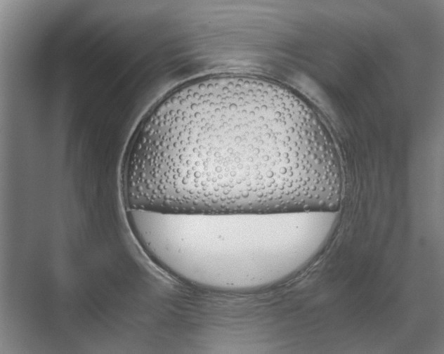 X0000072501283200607140927