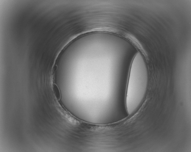 X0000072501284200607140927