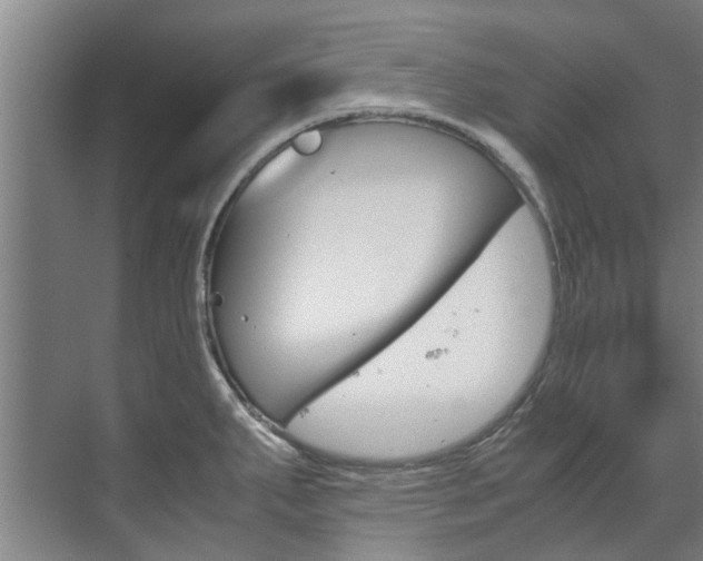 X0000072501287200607140927